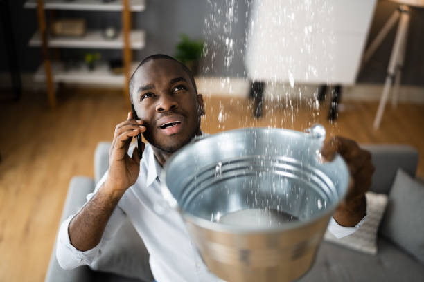 Best Flood damage cleanup  in Lewes, DE