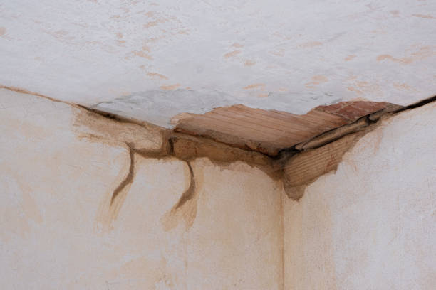 Best Water damage restoration near me  in Lewes, DE