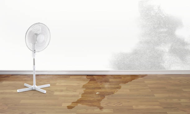 Best 24/7 water damage repair  in Lewes, DE