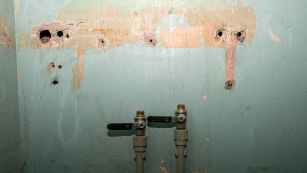 Water damage restoration mold remediation in DE