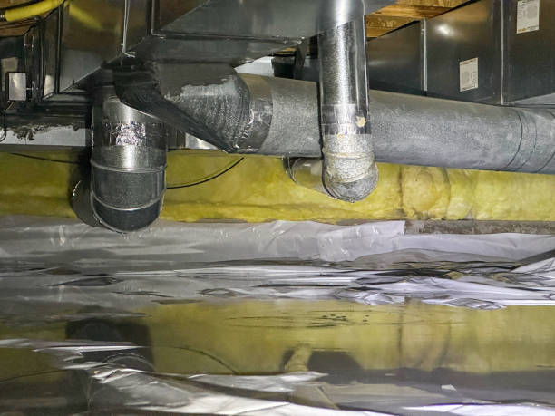 Best 24-hour water damage restoration  in Lewes, DE