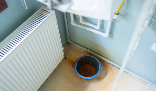 Best Local water damage restoration  in Lewes, DE