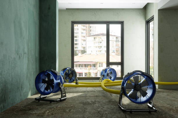 Best Residential water damage restoration  in Lewes, DE